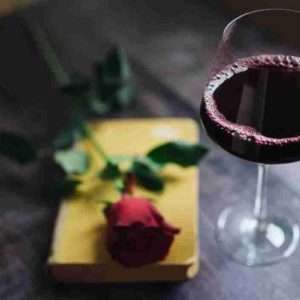 Nenad Stojkovic Red wine with rose and book 1