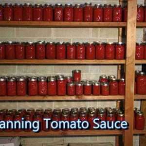 italian grandma makes canned tomato sauce 4RwuSZDl do