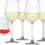 Spiegelau Salute White Wine Glasses, Set of 4, European-Made Lead-Free Crystal, Classic Stemmed, Dishwasher Safe, Professional Quality White Wine Glass Gift Set, 16.4 oz