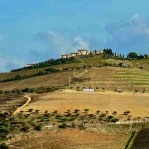 Views from Quinta Do Seixo on Douro Valley 1024x683 2