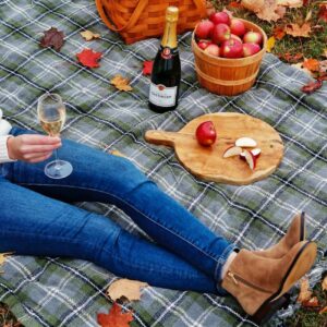 Enjoy some Champagne during a fall picnic 1