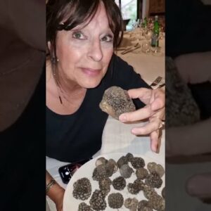 large truffle in abruzzo fxiUISW sCE