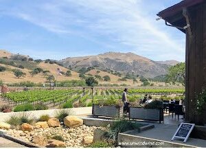 Winesite Zaca Mesa winery patio mountains remc