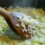 Can You Explain The Basics Of Making A Traditional Risotto?