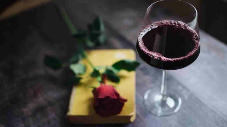 Nenad Stojkovic Red wine with rose and book 1