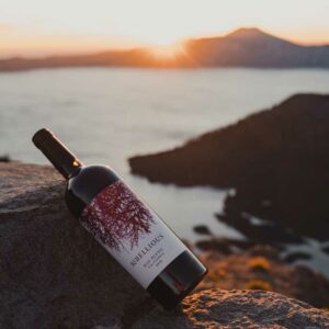 Rebellious Red Blend 1