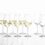 Schott Zwiesel 0007.120171 White Wine Glass, 1 Count (Pack of 1), Clear