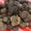 ABRUZZO ITALY – Truffle Feast