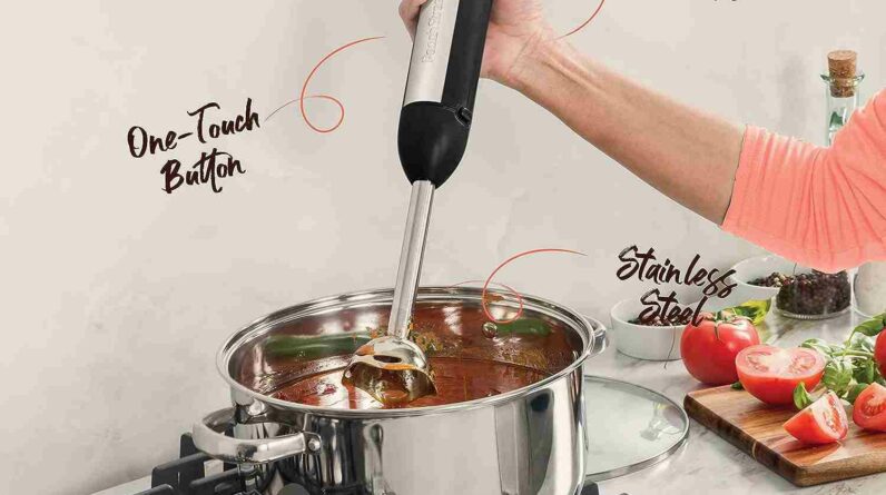 high speed immersion blender review