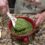 Italian Grandma Makes Fresh Basil Pesto